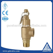 brass threaded safety valve